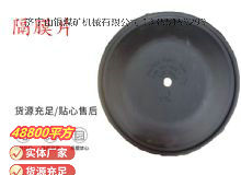 點(diǎn)擊查看詳細(xì)信息<br>標(biāo)題：氣動隔膜泵配件-隔膜片 閱讀次數(shù)：168