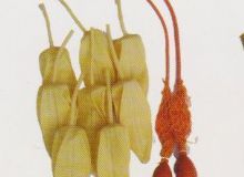 點擊查看詳細(xì)信息<br>標(biāo)題：取氣樣球膽 閱讀次數(shù)：43